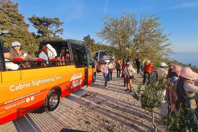 Dubrovnik: Convertible Minibus Panorama Tour with Audio Guide - The Audio Guide: Informative but Concise