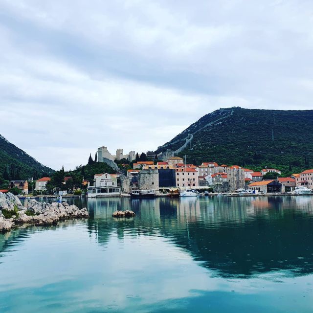 Dubrovnik: Day Trip to 3 Peljesac Wineries with Tastings - Olives, Fruit Liqueurs, and Local Snacks