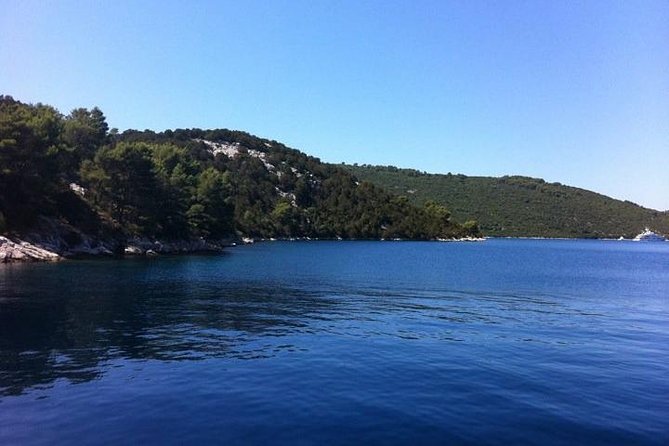 Dubrovnik Elafiti Islands Cruise with Lunch, Drinks and Pickup - The Crew and Overall Atmosphere