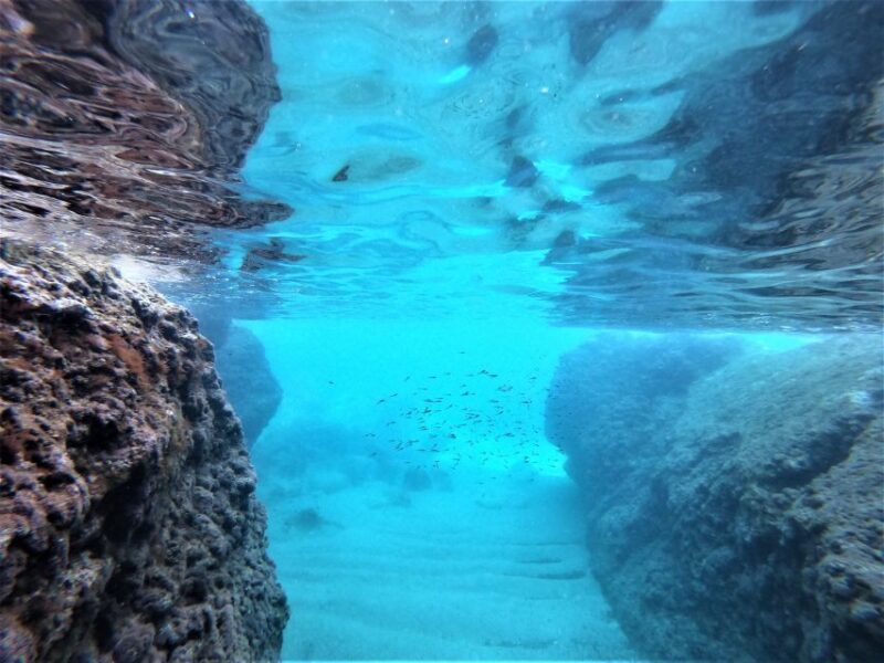 Dubrovnik: Elafiti Islands Private Full Day Boat Tour Escape - Frequently Asked Questions