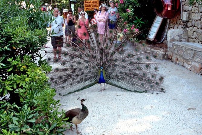 Dubrovnik: Game of Thrones Tour with visit to Lokrum Island - Exploring Lovrjenac Fortress with Viewpoints of Old Town and Sea