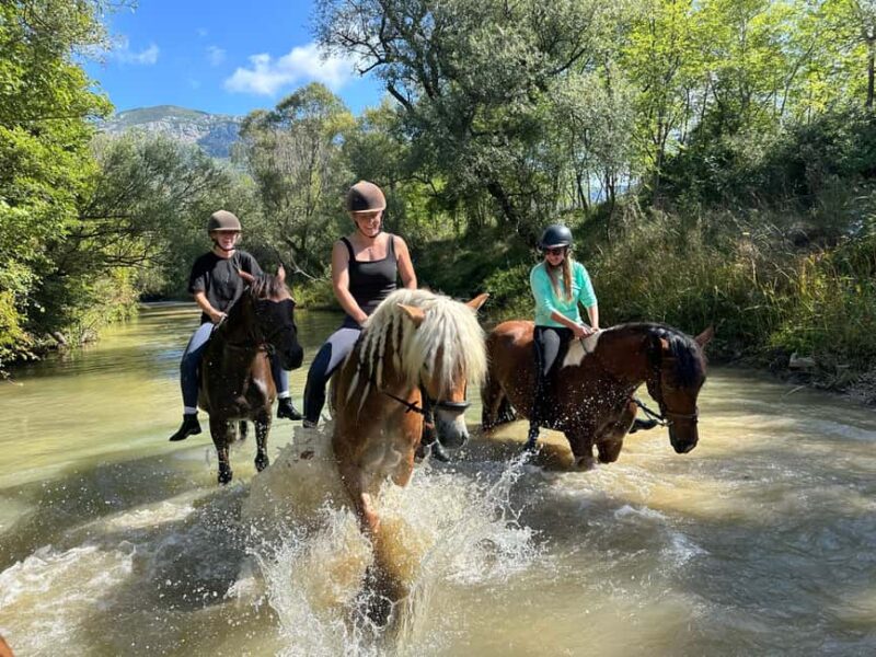 Dubrovnik: Horseback Ride with River Crossing & Snacks - Scenic Trails through Konavle’s Countryside and Meadows