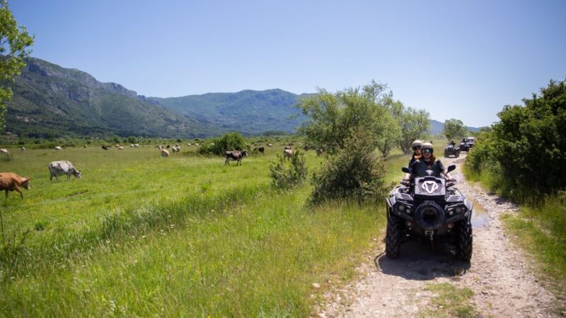 Dubrovnik: Kojan Koral ATV Quad Safari - Practical Tips for the Konavle ATV Safari