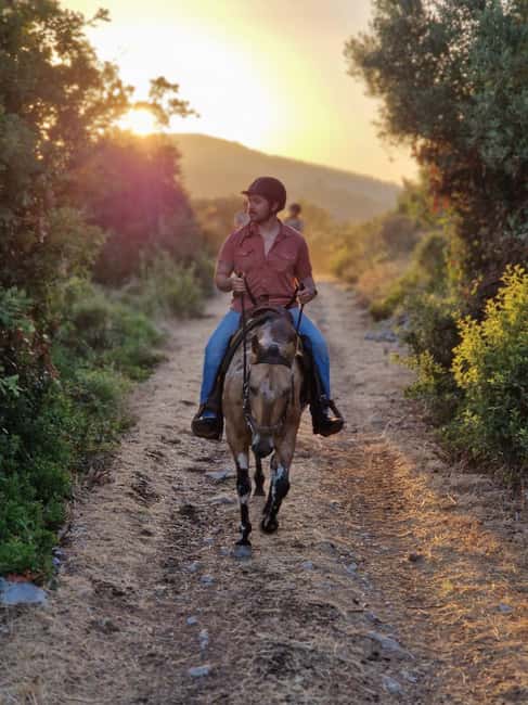 Dubrovnik Kojan Koral: Horseback Riding - Discovering Hidden Woodland Trails in the Konavle Valley
