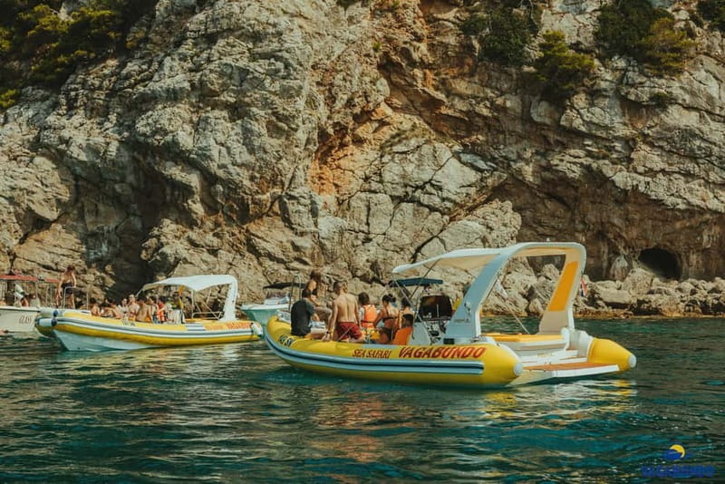 Dubrovnik: Morning Blue Cave speedboat tour with drinks - Scenic Stop at Lokrum Island and Wine Tasting
