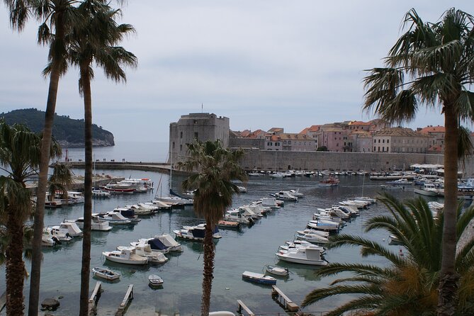 Dubrovnik Old City Private Tour - The City Harbor and Fortifications
