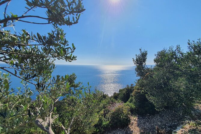 Dubrovnik Private Wine Tasting Tour To Peljesac - Scenic Viewpoint Near Majkovi Offers Panoramic Vistas