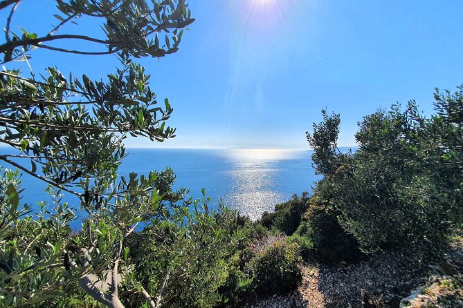 Dubrovnik Private Wine Tasting Tour To Peljesac - Scenery, Flexibility, and Comfort on the Road