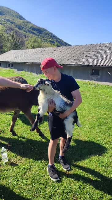 Dubrovnik rural area biking & private wine tasting tour - Overall Pacing and Physical Requirements