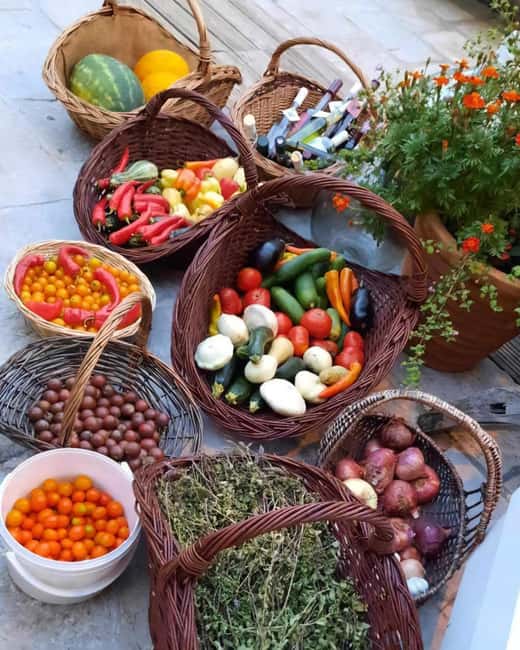 Dubrovnik Scenic Tour & Lunch/Dinner at Country Estate - Itinerary Breakdown and Stops