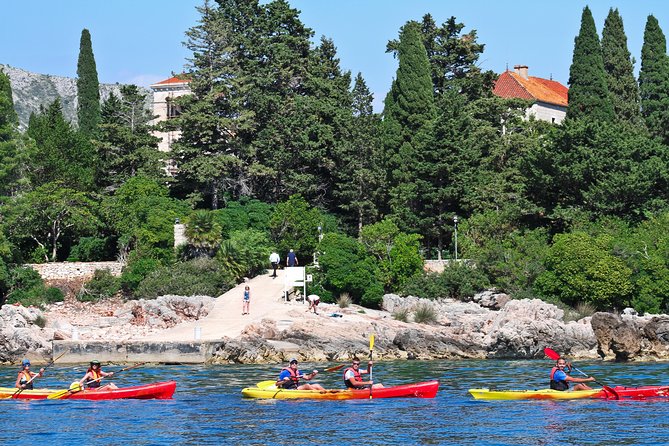 Dubrovnik: Sea Kayaking & Snorkeling Tour - The Food, Water, and Safety Provisions