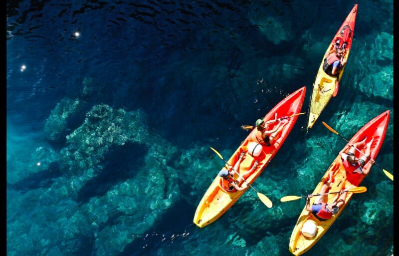 Dubrovnik: Sea Kayaking Tour - Dubrovnik: Sea Kayaking Tour – A Unique Water Adventure for All