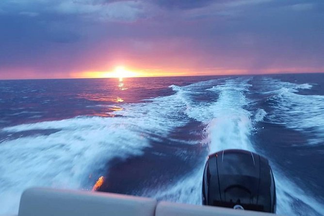 Dubrovnik Speedboat Quicksilver 675 Private Tours - Stops at Pasjaca and Sunj Beaches