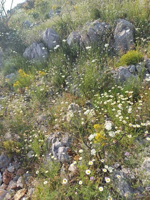 Dubrovnik: Sunrise Hike Mt. Sr + Sunrise Yoga at viewpoint. - Comparing This Tour to Other Dubrovnik Experiences