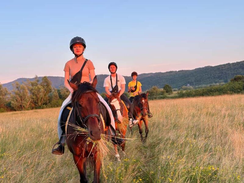 Dubrovnik: Sunset Horseback Ride with Transfers - Meeting and Interacting with Farm Animals