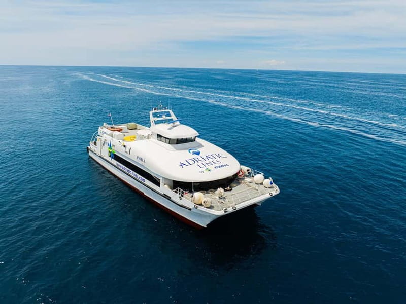 Dubrovnik to/from Kotor: Day Trip or One-Way by Fast Ferry - Practical Details: Luggage & Additional Costs