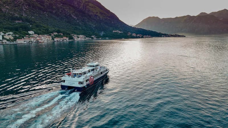 Dubrovnik to/from Kotor: Day Trip or One-Way by Fast Ferry - Who Should Consider This Tour