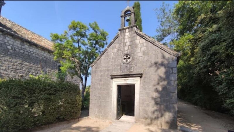 Dubrovnik Views & Trsteno Botanical Garden Experience - Transportation and Convenience in a Private Vehicle