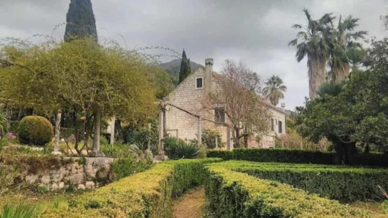 Dubrovnik Views & Trsteno Botanical Garden Experience - The Guide: Professional and Knowledgeable