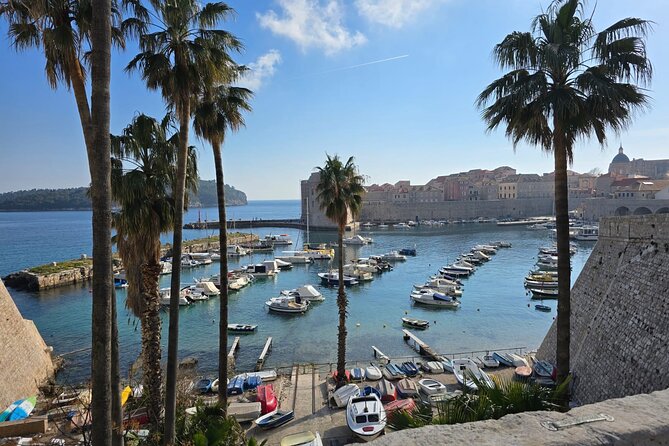 Dubrovnik Walking Tour with a FREE Polaroid Photo - Why This Dubrovnik Walking Tour Stands Out