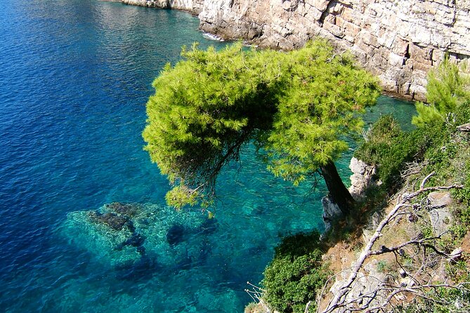 Dubrovnik:3 Islands Boat Tour with Lunch&drinks(FR,ES,EN) - Kolocep Island: Perfect for Swimming and Diving