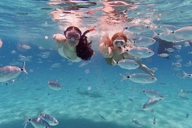 Dugi Otok Island Discovery Day Tour from Zadar - Dugi Otok Island Discovery from Zadar: An Action-Packed Day