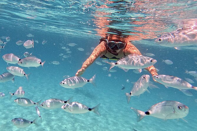 Dugi Otok Island Discovery Day Tour from Zadar - Frequently Asked Questions