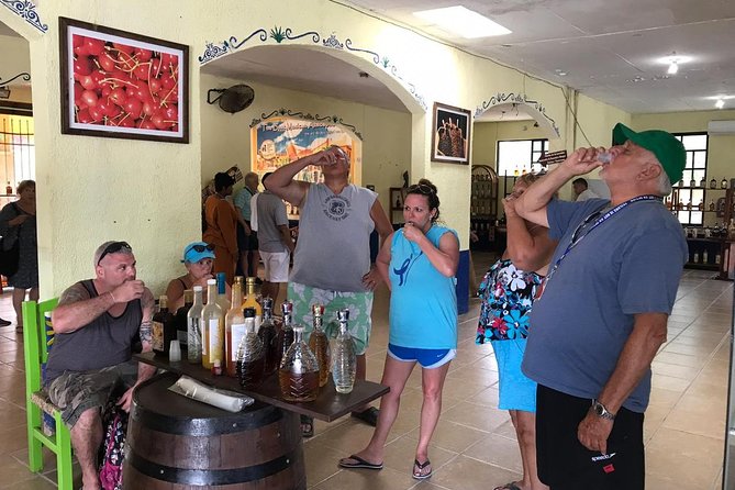 Dune Buggy Adventure, Snorkel, Mayan Town, East Coast, Tequila and City Tour - Scenic Drive Along Cozumel’s East Coast