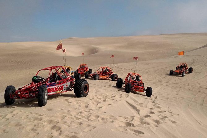 Dune Buggy, UTV or ATV Experience at Pismo Beach - What Makes the Pismo Beach Dunes Off-Road Tour Unique
