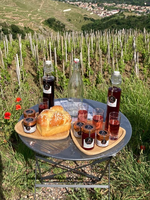 DUO PARENTS CHILDREN WINE CÔTE-RÔTIE TOUR VISIT - The Route and Stops Along the Vineyards of Côte-Rôtie