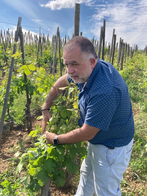 DUO PARENTS CHILDREN WINE CÔTE-RÔTIE TOUR VISIT - Family-Focused Activities and Tasting Experiences