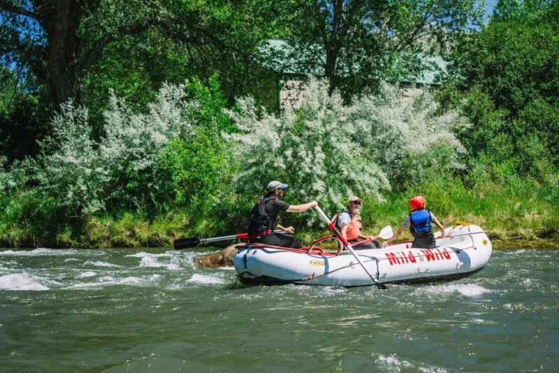 Durango 1/4 Day Rafting Trip - Lower Animas River - Key Points