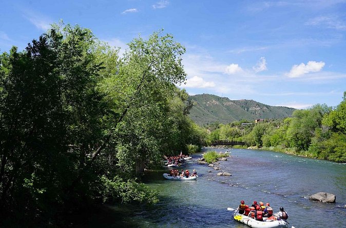 Durango 3/4 Day Rafting Trip with Lunch - Lower Animas River - Highlights of the Rafting Experience
