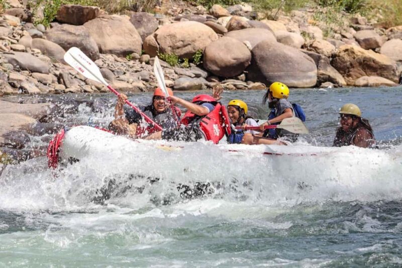Durango 3/4 Day Rafting Trip with Lunch - Lower Animas River - Key Points
