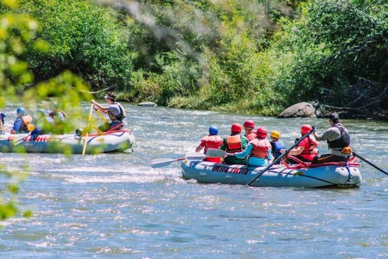 Durango 3/4 Day Rafting Trip with Lunch - Lower Animas River - The Custom Self-Bailing Rafts and Paddle Experience