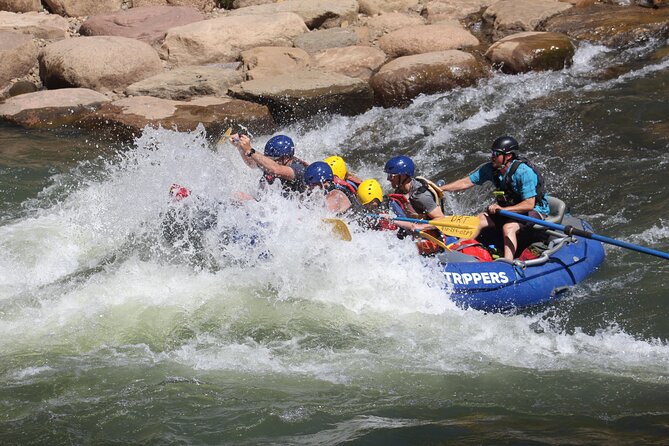 Durango "4.5 Half-Day" Rafting Trip Down the Animas River - Key Points