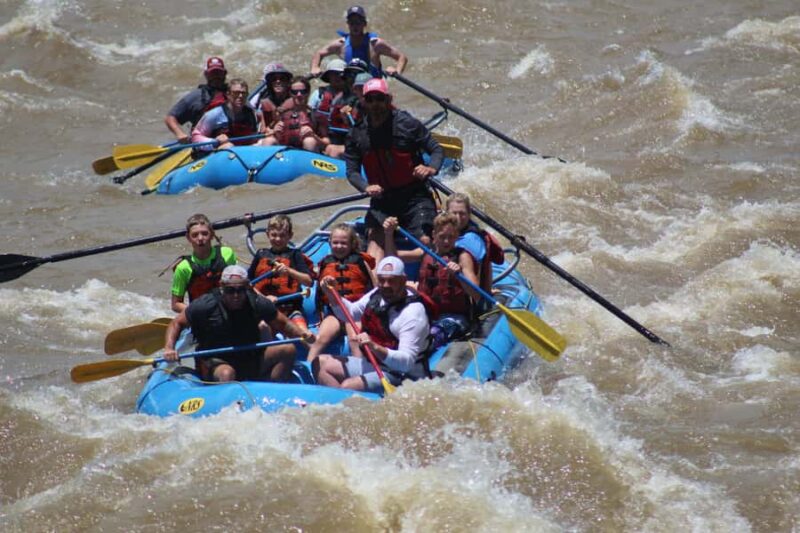 Durango: Animas River White Water Rafting Adventure - Experience the Excitement of Whitewater on Durango’s Animas River