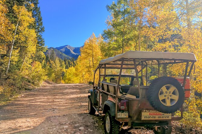 Durango Half Day Jeep Tour - La Plata Canyon - Wildlife and Wildflowers in the Mountain Wilderness