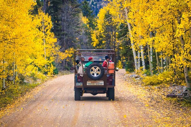 Durango Half Day Jeep Tour - La Plata Canyon - The Travel Experience and Tour Value