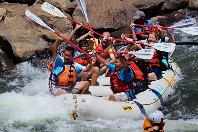 Durango Half Day Rafting Trip - Lower Animas River - Thrilling yet Gentle: The Durango Half Day Rafting Trip on the Lower Animas River