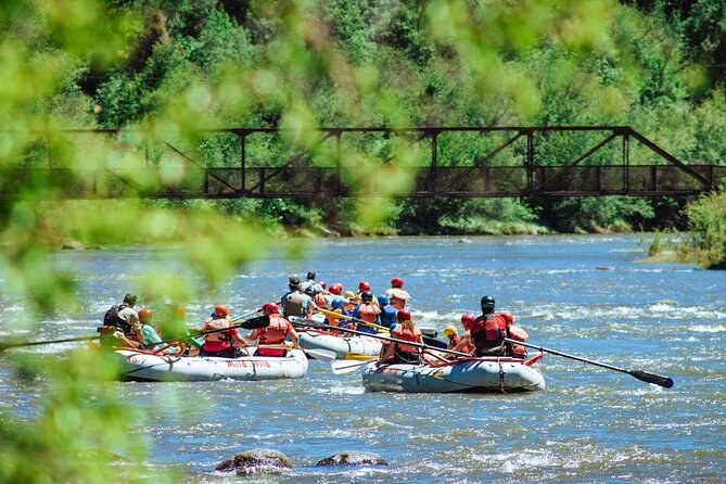 Durango Half Day Rafting Trip - Lower Animas River - Logistics and Booking Details