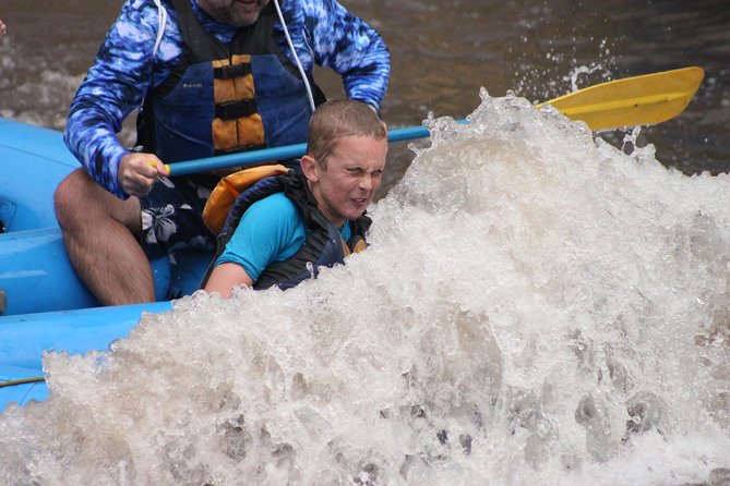 Durango Rafting - Quarter Day Family Friendly Trip - All Safety Gear and Expert Guidance
