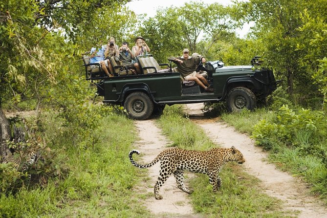 Durban: Big 5 Luxury Safari at an Award Winning Game Reserve  Zeiss Binoculars - Key Points