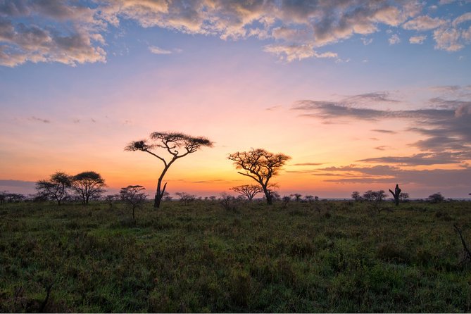 Durban: Big 5 Luxury Safari at an Award Winning Game Reserve  Zeiss Binoculars - Zeiss Binoculars Enhance Your Wildlife Viewing