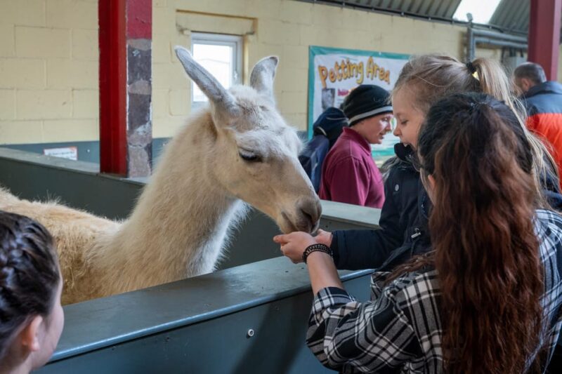 Durham: Adventure Valley Mini Golf Admission Ticket - What’s Included in Your Ticket for a Hassle-Free Day