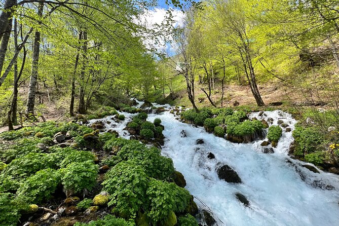 Durmitor - Black Lake & Tara River Canyon - North Montenegro tour - Durmitor National Park: Montenegro’s Largest Natural Wonder