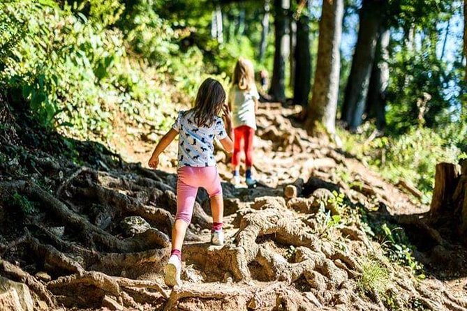 Durmitor National Park hiking tour - easy to moderate - Key Points