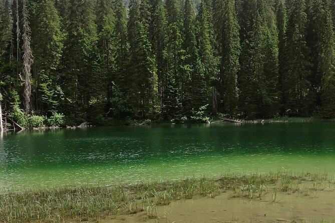Durmitor National Park hiking tour - easy to moderate - Walking Through Durmitor’s Rugged Landscape