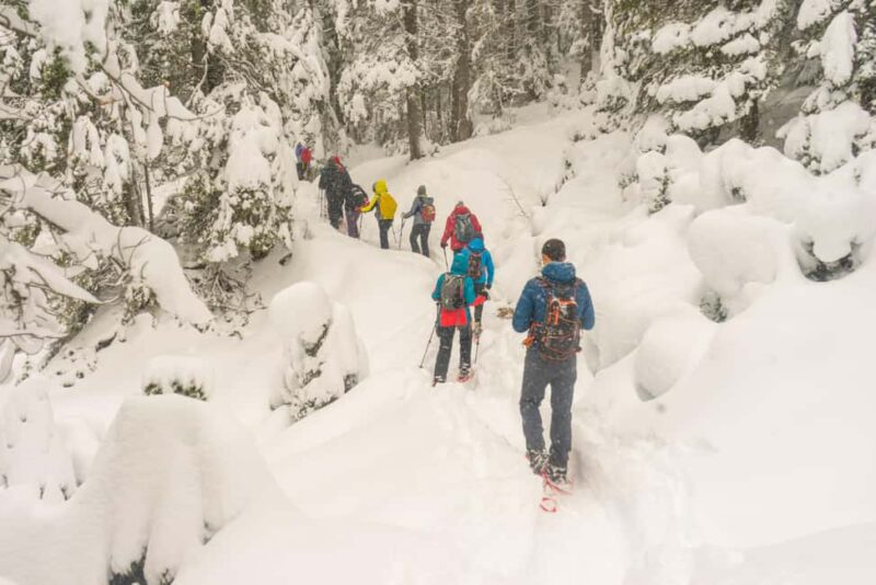 Durmitor National Park: Snowshoe Tour Black & Zminje Lake - Explore Durmitor National Park with a Snowshoe Adventure in Montenegro