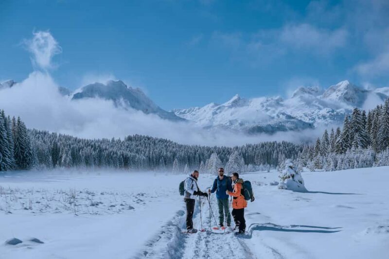 Durmitor National Park: Snowshoe Tour Black & Zminje Lake - Key Points